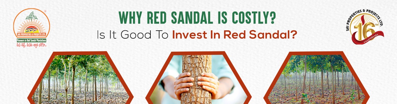 Red Sandalwood Premium Handmade Soap | Ancient Shine